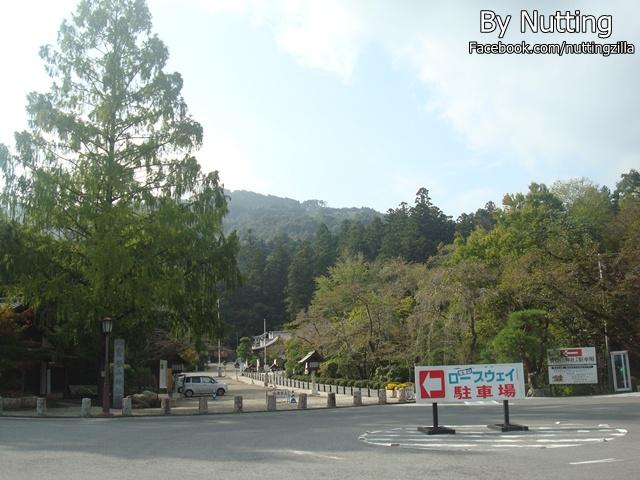 DSC03911.JPG